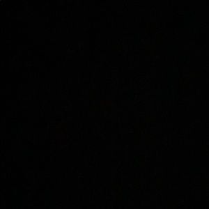 Meet your Posher, Lainey